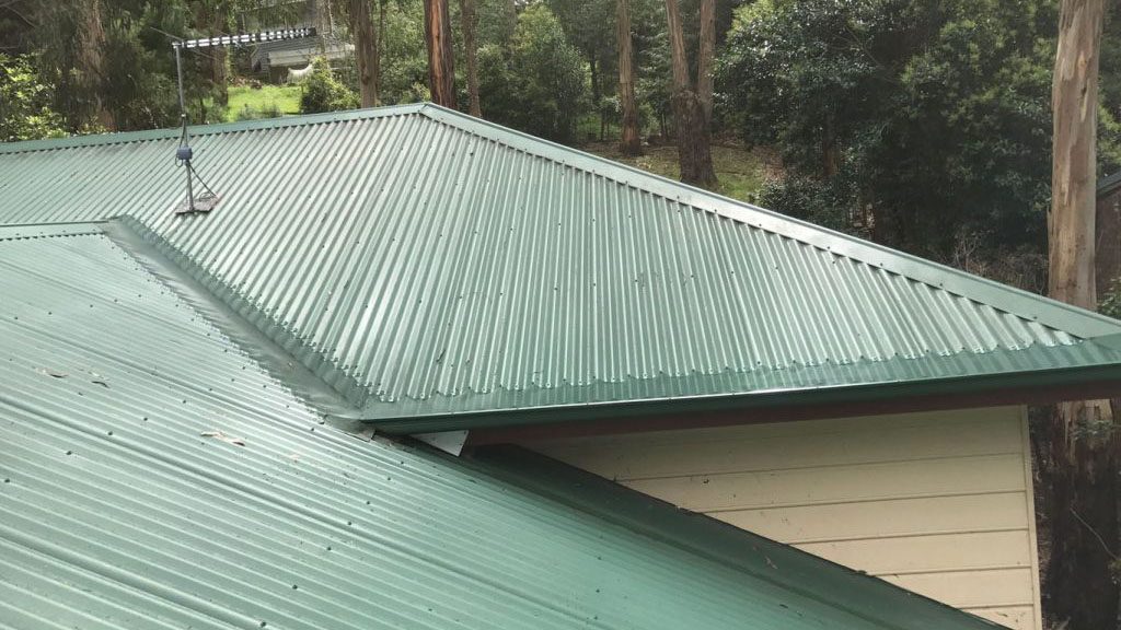 Gutter cleaning