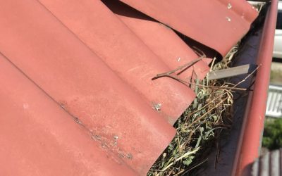 Why should you install gutter guard?
