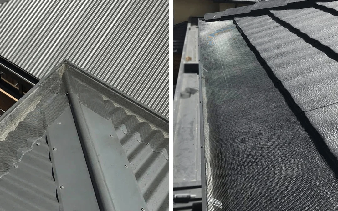 Gutter Guards and Pest Control: Blocking Possums, Mynas & Rats Humanely
