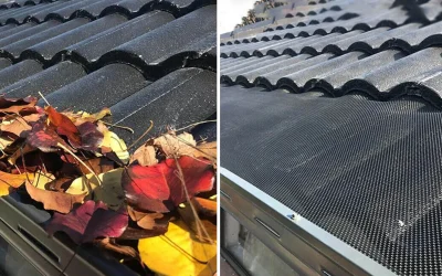 Stop Blocked Gutters: Australia’s Best Gutter Guard Options Explained