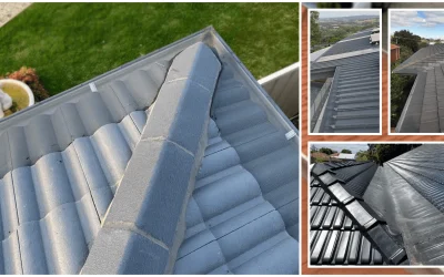 Gutter Protection in Victoria: How to Choose the Right System for Your Roof