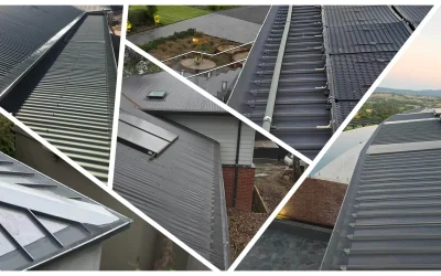 How Leaf Guards Help Protect Homes Near Large Gum Trees